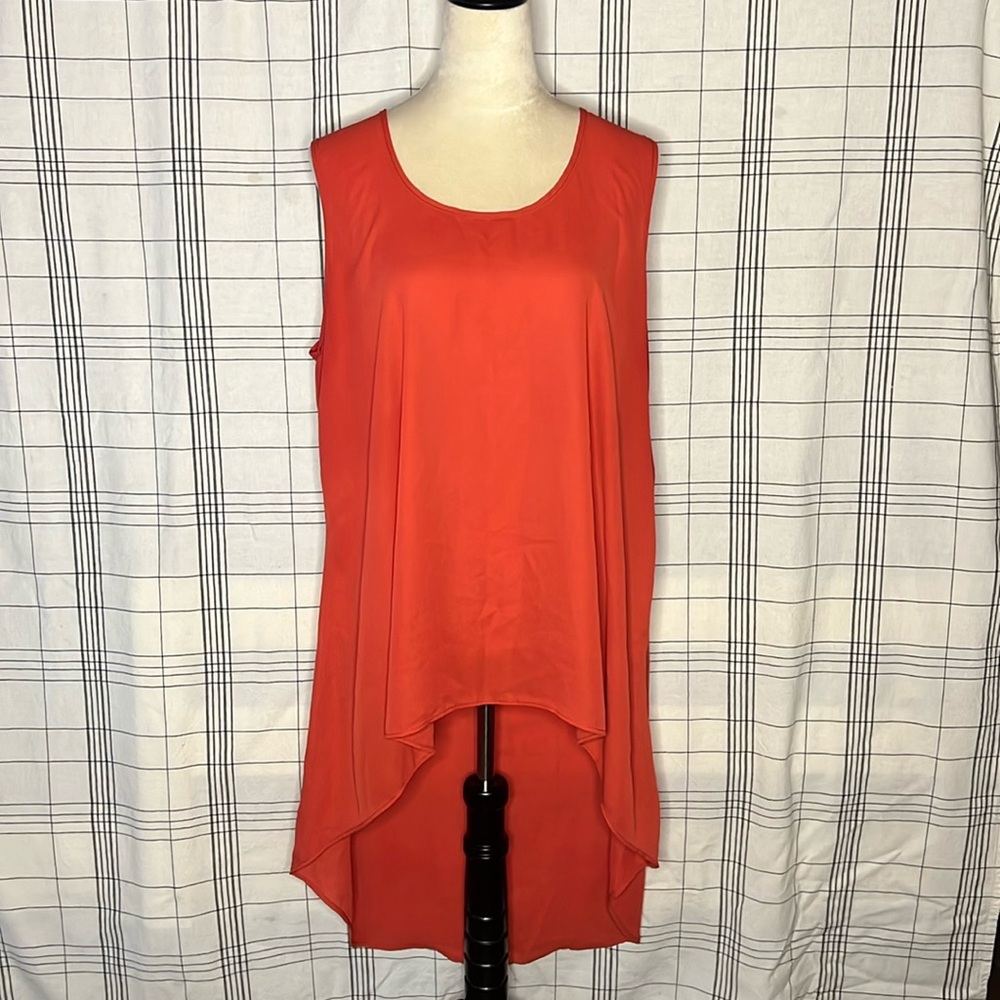 Sheer Top with Back Slit